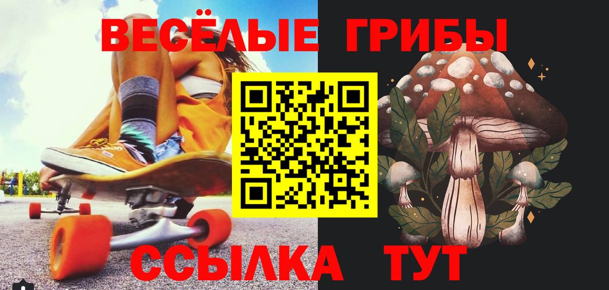 Галлюциногенные грибы GOLDEN TEACHER  Галлюциногенные грибы Magic Shrooms  где можно купить   Иваново  Вход с VPN 